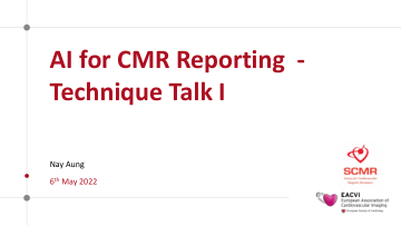 人工智能用于 CMR 报告 - 技术讲座 I
